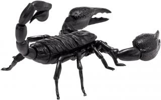 Thames and Kosmos Emporer Scorpion 3D Puzzle 