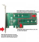 M.2 NVMe + M.2 SATA SSD PCIe x4 Adapter