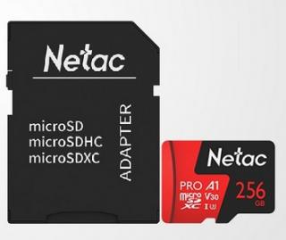 P500 Extreme Pro 256GB 667X microSDXC UHS-I Class 10 Memory Card with SD Adapter 