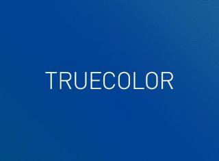 TrueColour 180gsm 610mm x 30m Matt Coated Paper - Roll 