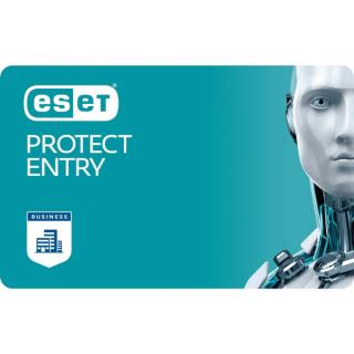 Protect Entry - Electronic Delivery 
